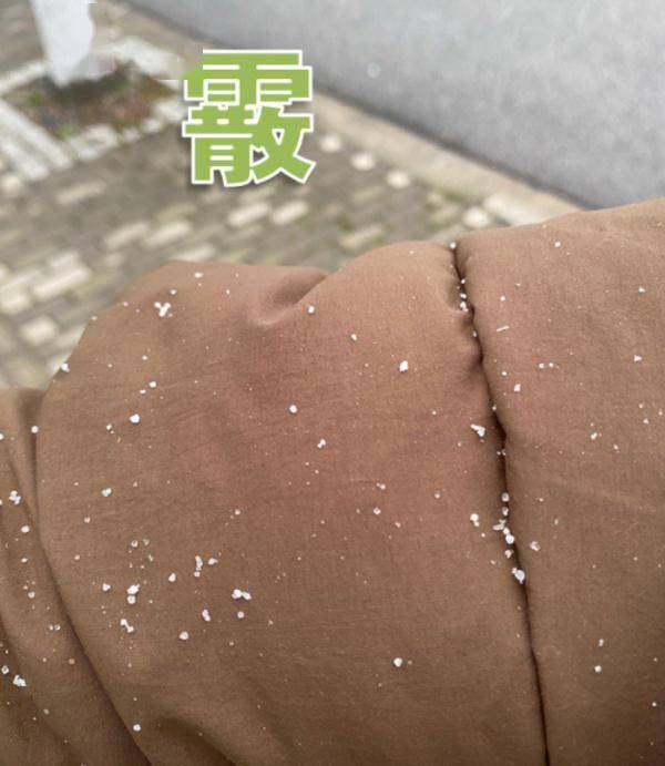 上海下雪上热搜，明天更冷！市民统一姿势拍起“头皮雪”，气象局：这叫“霰” 第10张