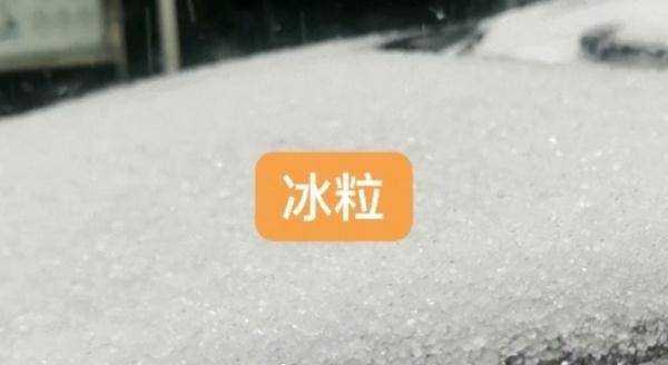 上海下雪上热搜，明天更冷！市民统一姿势拍起“头皮雪”，气象局：这叫“霰” 第11张