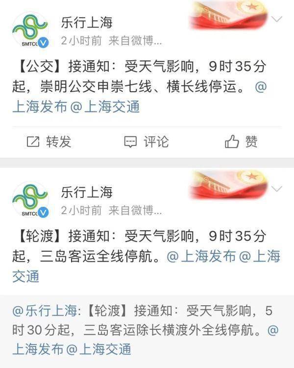 上海下雪上热搜，明天更冷！市民统一姿势拍起“头皮雪”，气象局：这叫“霰” 第14张