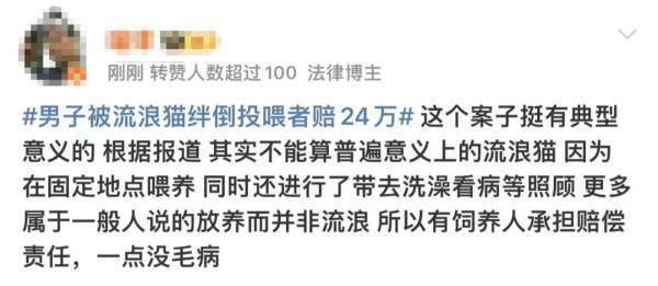 吵上热搜！上海一男子打羽毛球时被流浪猫绊倒骨折，投喂者被判赔24万…… 第3张