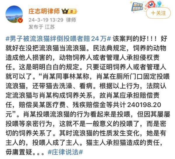 吵上热搜！上海一男子打羽毛球时被流浪猫绊倒骨折，投喂者被判赔24万…… 第5张